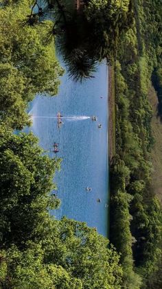 people are swimming in the lake surrounded by trees