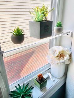 two potted plants sit on a window sill next to a succulent plant