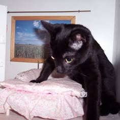 a black cat sitting on top of a bed next to a wall with a painting