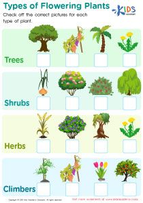 the different types of flowering plants are shown in this poster, which includes pictures of trees and shrubs