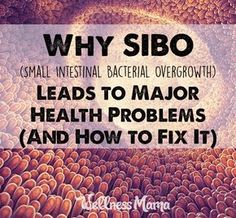 Why SIBO Leads to Major Health Problems (And How to Fix It) Elemental Diet, Low Stomach Acid, Small Intestine Bacterial Overgrowth, Specific Carbohydrate Diet, Health Cleanse, Wellness Mama, Adolescent Health, Low Fodmap Diet