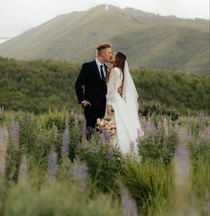 a bride and groom kissing in the middle of a field with mountains in the background