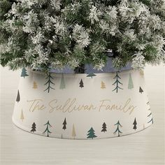 a potted plant with snow on it and the words'the sullivan family '