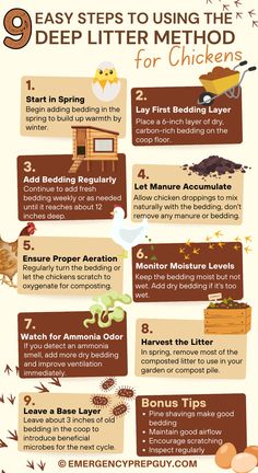 Infographic illustrating the 9 steps of the deep litter method for chickens, covering bedding, aeration, moisture control, and composting to maintain a healthy coop environment. Deep Litter Method Chicken Coop, Chicken Coop Cleaner, Coop Cleaner, Chicken Manure Compost, Deep Litter Method, Chicken Composting, Pine Shavings, Fresh Bedding, Chicken Manure