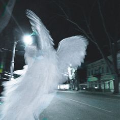 a white bird is flying in the air near a light pole and street lamp at night