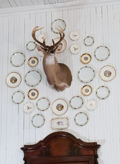 a deer head mounted to the side of a wall with plates on it's back