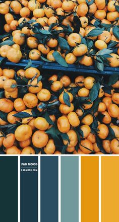 oranges are stacked on top of each other in shades of blue, yellow and green