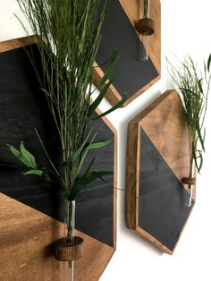 two wooden wall hangings with plants in them