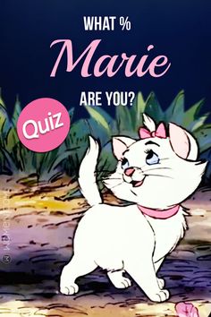 an image of a cartoon cat with the words, what's marie are you?