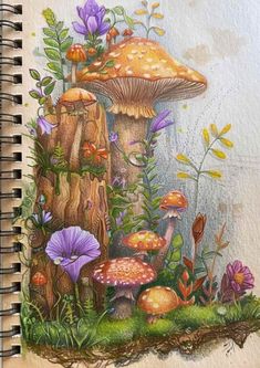 a drawing of mushrooms and flowers on a page in a notebook with colored pencils