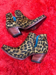 two pairs of leopard print high heel shoes on a red fuzzy surface with blue trim