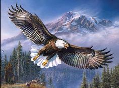 an eagle flying over a mountain with trees