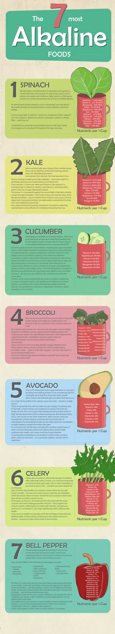 The 7 most Alkaline foods Infographic is one of the best Infographics created in the Food category. Check out The 7 most Alkaline foods now! بذور الشيا, Anti Dieting, Healthy Bacteria, Alkaline Diet, Alkaline Foods, Chronic Inflammation, Kombucha, You Can, Diet Tips