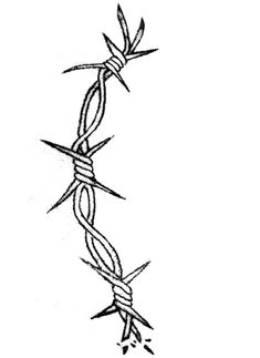 a drawing of a barbed wire