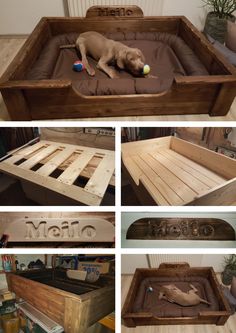 there is a dog laying in a bed made out of pallets and wooden crates