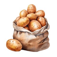 a bag full of potatoes sitting on top of a table