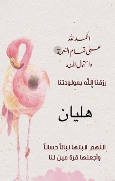 a pink flamingo with arabic writing on it