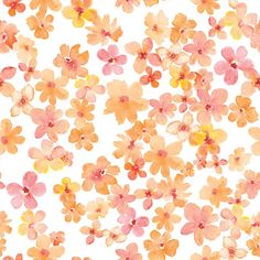 watercolor flowers on white background with pink and yellow petals in the center, all over