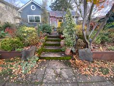 a house with lots of plants and trees in the front yard on a fall day