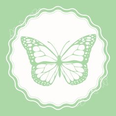 a white butterfly on a green background