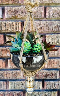 a hanging planter with succulents in it