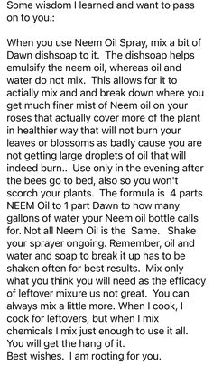 Neem Oil