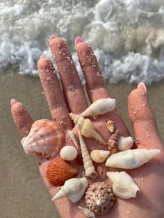 a person's hand with sea shells on the beach