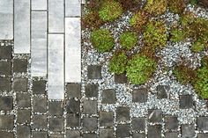 an aerial view of a stone walkway with green plants growing on the ground and cobblestones