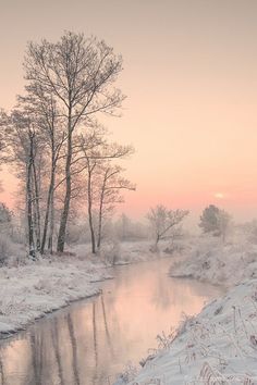 a river running through a snow covered forest