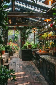 a kitchen filled with lots of potted plants