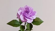 a single purple rose sitting in a vase