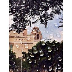 raindrops are falling on the window and trees in front of an old building