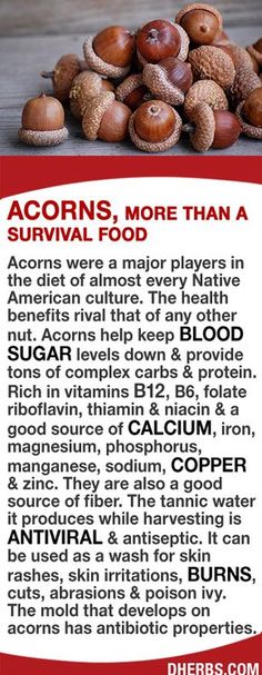 Acorns were major in the diet of almost every Native American culture. Acorns help keep blood sugar levels down & provide tons of complex carbs & protein. Rich in vitamins B12, B6, folate riboflavin, thiamin & niacin & a good source of calcium, iron, magnesium, phosphorus, manganese, sodium, copper & zinc as well as fiber. The tannic water it produces is antiviral & antiseptic. It can be used as a wash for rashes, skin irritations, burns, cuts, abrasions & poison ivy. #dherbs Complex Carbs, Survival Food, Food List, American Culture, Natural Health Remedies, Healing Herbs, Native American Culture, Vitamin B12