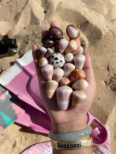 Sea Lover, Yummy Foods, Sea Shells, Vision Board, Shells, Yummy Food, Lifestyle, Quick Saves