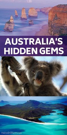 australia's hidden gemss book cover with an image of a koala bear