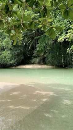 the water is very clear and green in this area with some trees on either side