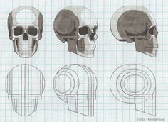 four different views of the human head with various angles and lines on paper sheeted background