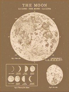 the moon is shown in brown and white, with different phases to it's surface