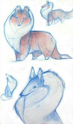 some drawings of different animals on paper