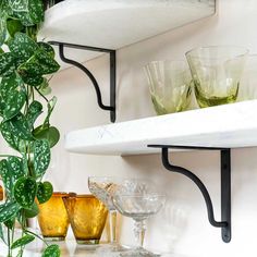 some glasses are sitting on the shelf next to a potted plant and other glassware