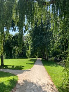 a dirt path in the middle of a park