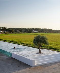 an outdoor hot tub with a tree in the middle and people swimming in it near a rice field