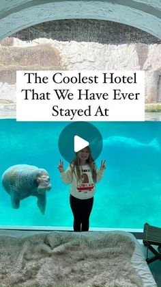 the coolest hotel that we have ever stay at is in an enclosure with a polar bear