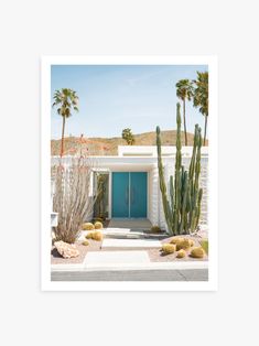 a blue door in front of a white house surrounded by cacti