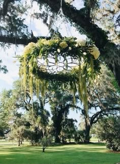 a large tree with flowers hanging from it's branches in the middle of a park