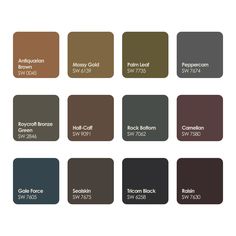 the different shades of paint for walls and floors