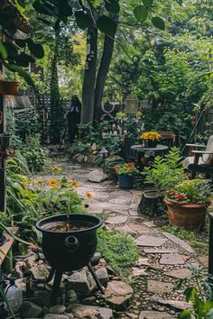 a garden filled with lots of plants and flowers