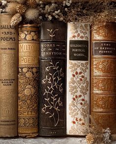 several books are lined up on a shelf in front of pine cones and snowflakes