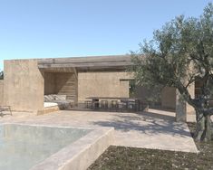 an olive tree in front of a house with a pool and lounge area next to it