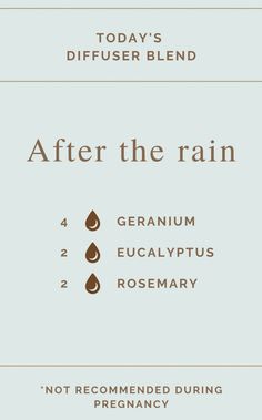 Rain Diffuser Blend, Rain Diffuser, Essential Oil Perfume Blends, Perfume Blends